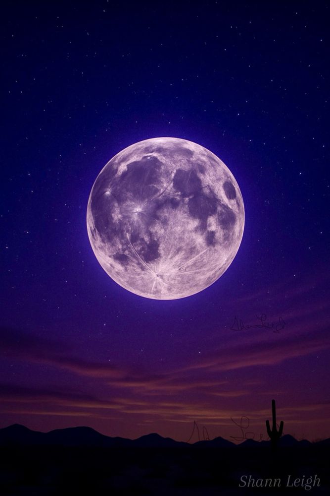 ✨ Harvest Moon Magic ✨
The desert glows under a golden supermoon — time to release, recharge, and call your magic home beneath the violet sky. 🌾🌕💜
#arizona #harvest-moon #desert 