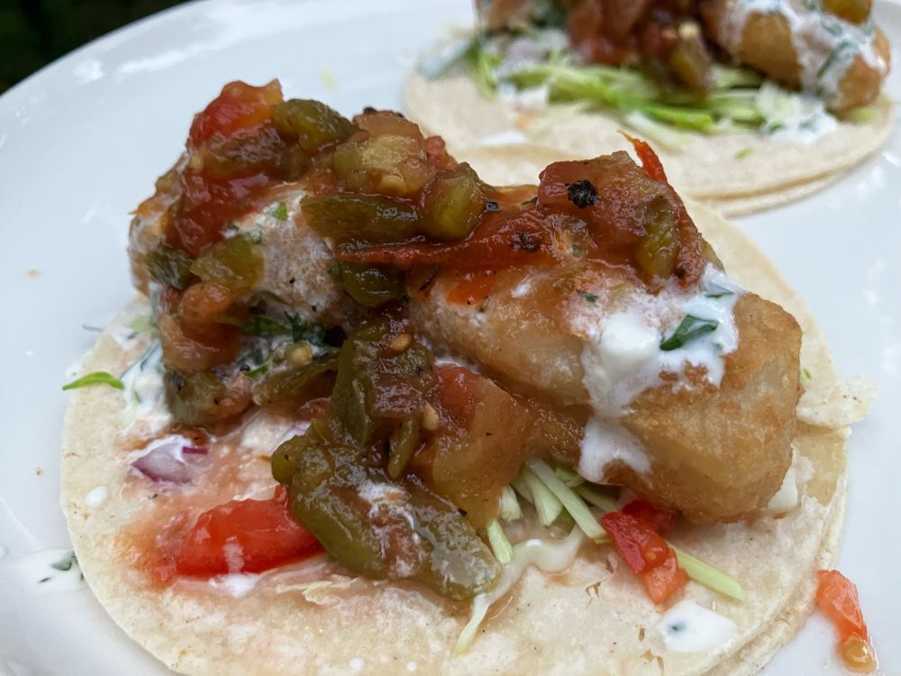 fish taco