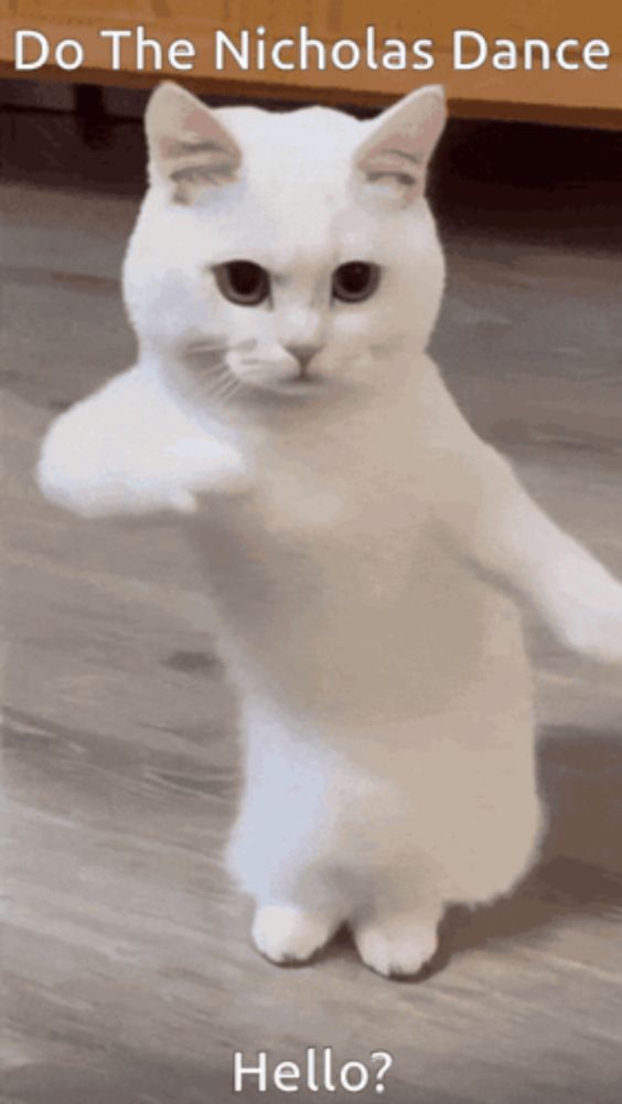 a white cat standing on its hind legs with the words do the nicholas dance hello written below it