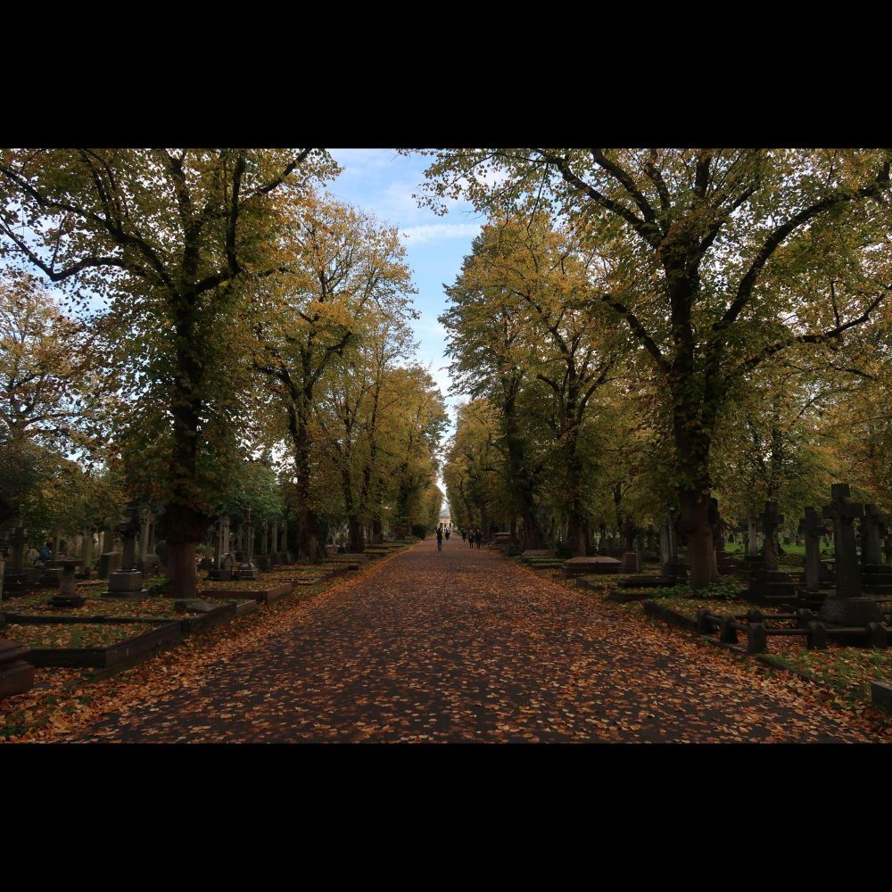 Digging the Graves of London’s Greatest Cemeteries