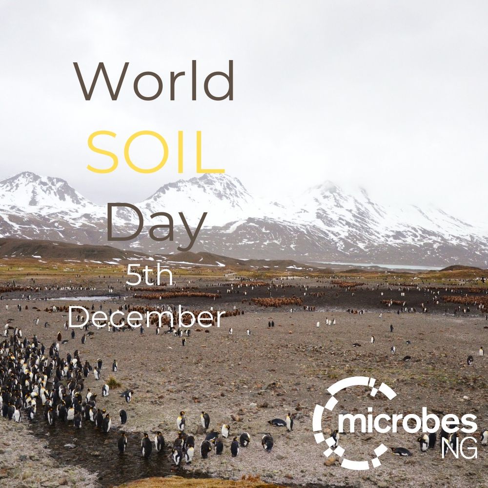 A scenic landscape featuring snow-covered mountains in the background and a flat, rocky expanse in the foreground, populated by groups of penguins. Overlaid text reads 'World Soil Day, 5th December' with the MicrobesNG logo in the bottom right corner
