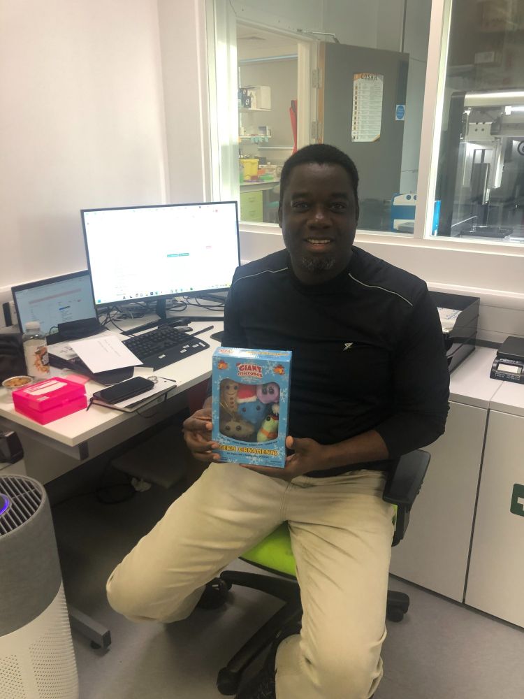 Our finance officer Ayodeji is sitting at his desk holding a box of Christmas tree decorations.