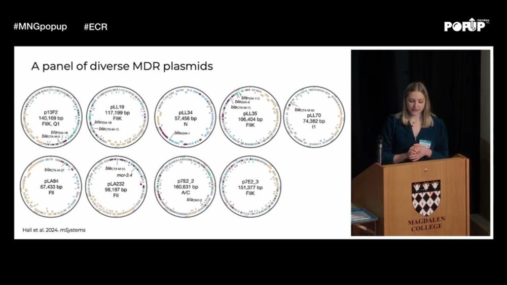 Rebecca Hall | MDR plasmids commonly reprogramme expression of metabolic genes in E.coli