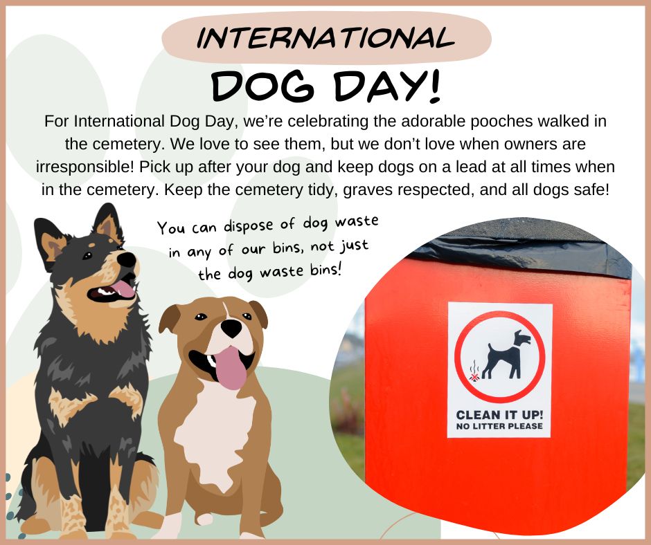 A graphic of two cartoon pooches, an Australian Shepherd and a Staffordshire Bull Terrier, on the left, sitting very good with big smiles on their faces. The text reads the same as the post, including the additional text of "You can dispose of dog waste in any of our bins, not just the dog waste bins.". There is also an image of a dog waste bin to the right.