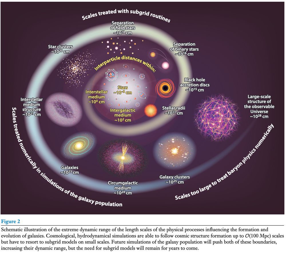 Figure 2 from Crain & van de Voort 2023. Caption:
Schematic illustration of the extreme dynamic range of the length scales of the physical processes influencing the formation and evolution of galaxies. Cosmological, hydrodynamical simulations are able to follow cosmic structure formation up to O(100 Mpc) scales but have to resort to subgrid models on small scales. Future simulations of the galaxy population will push both of these boundaries, increasing their dynamic range, but the need for subgrid models will remain for years to come.
