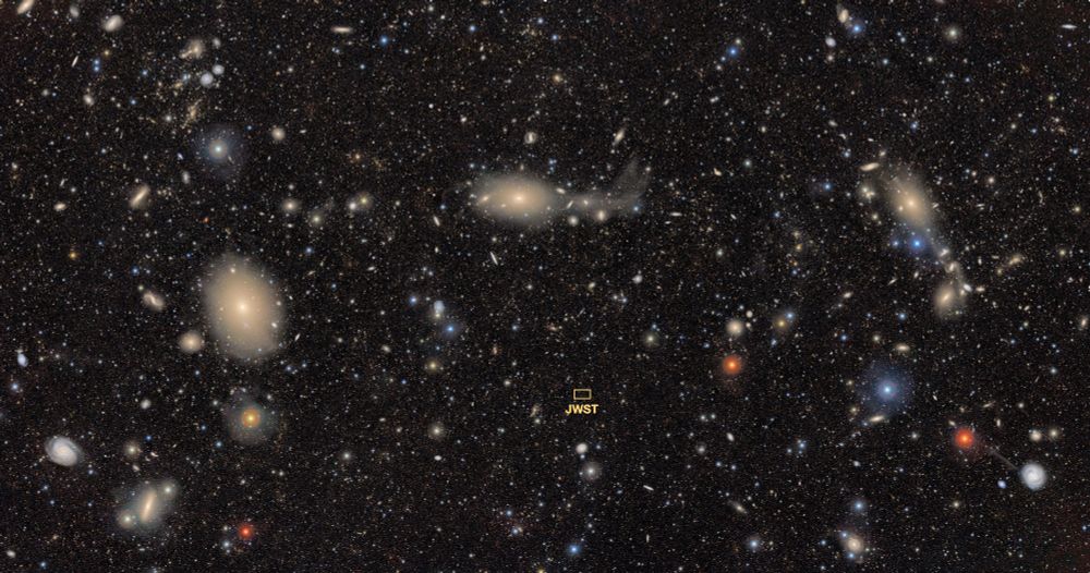 a stunning image from LSST showing an array of galaxies, near and far, and empty space. a tiny rectangle is also shown near the middle, showing JWST's field of view.