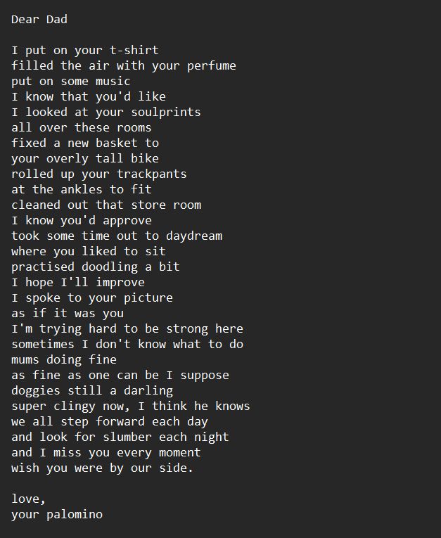 Dear Dad

I put on your t-shirt
filled the air with your perfume
put on some music
I know that you'd like
I looked at your soulprints
all over these rooms
fixed a new basket to
your overly tall bike
rolled up your trackpants
at the ankles to fit
cleaned out that store room
I know you'd approve
took some time out to daydream
where you liked to sit
practised doodling a bit
I hope I'll improve
I spoke to your picture
as if it was you
I'm trying hard to be strong here
sometimes I don't know what to do
mums doing fine
as fine as one can be I suppose
doggies still a darling
super clingy now, I think he knows
we all step forward each day
and look for slumber each night
and I miss you every moment
wish you were by our side.

love,
your palomino

