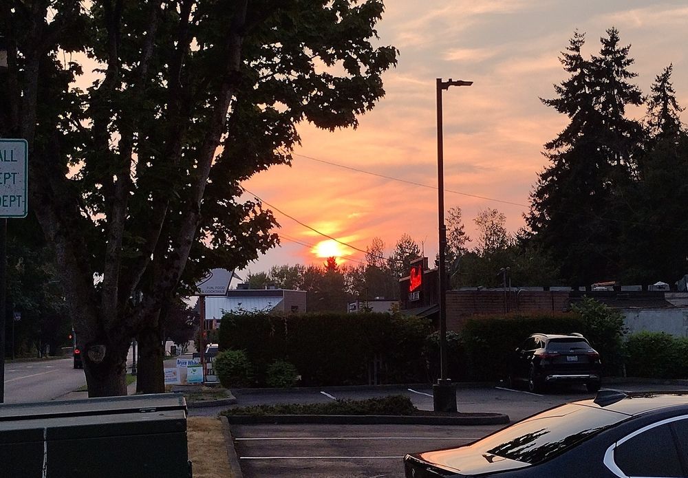 Sunset over PNW suburbs. The sun's barely touched the tops of trees in the distance and it's already nearly as red as the neon bar sign in the foreground. It smells like an electrical fire at a BBQ.