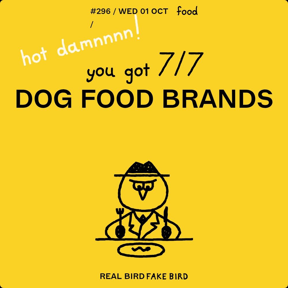 Real Bird Fake Bird daily challenge result that states perfect score for detecting Dog Food Brands.