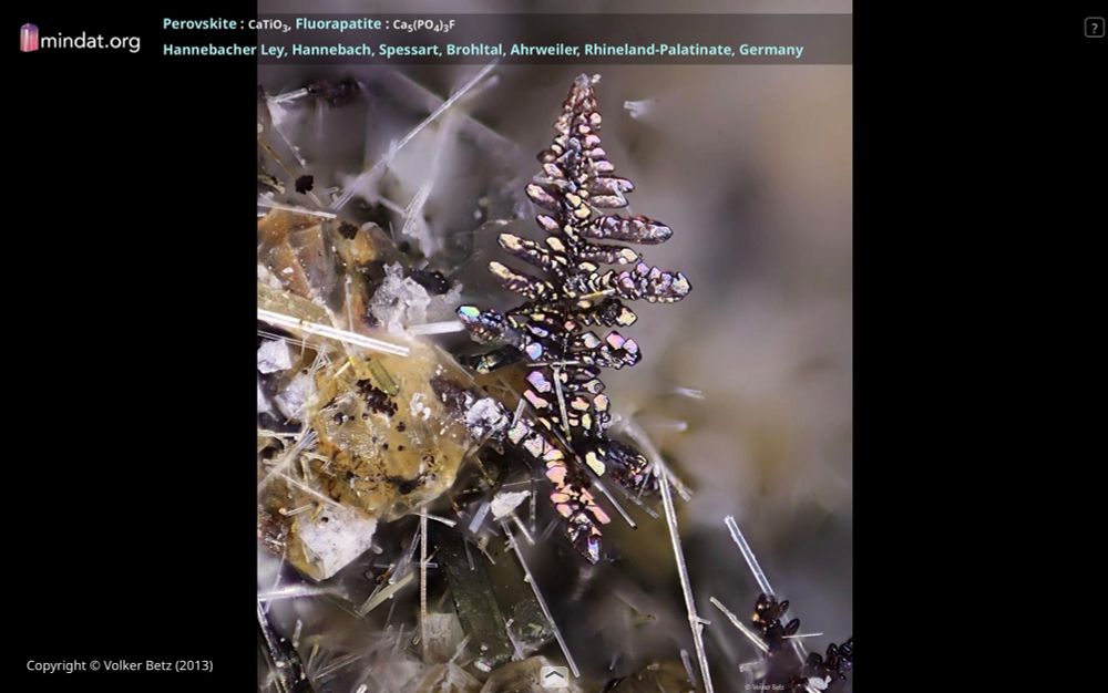 Photo of dendritic perovskite from Mindat.org.