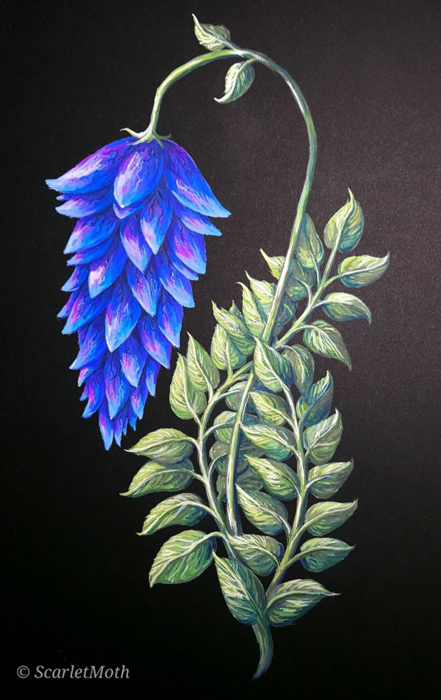 A gouache painting on black paper, depicting a Deathbell flower from The Elder Scrolls 
