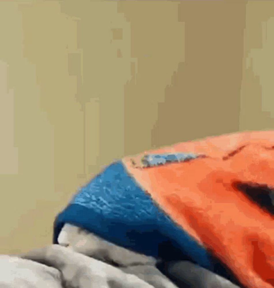 a cat is laying on a bed with a blue and orange blanket on top of it