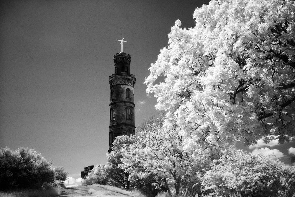 The Nelson Tower on Calton Hill, Edinburgh. Dark black against the dark skies in the foreground the leaves of a huge tree are bright white from the infrared. 