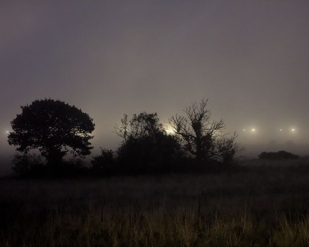 A row of scrappy trees silhouetted by the lights of Edinburgh airport. They are shrouded in the murky haar (sea fret/fog). 
#Scotland #Photography