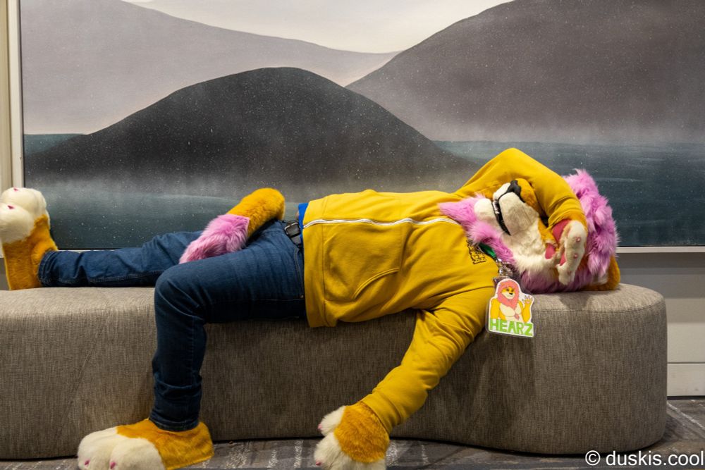 Hearz sleeping on a bench