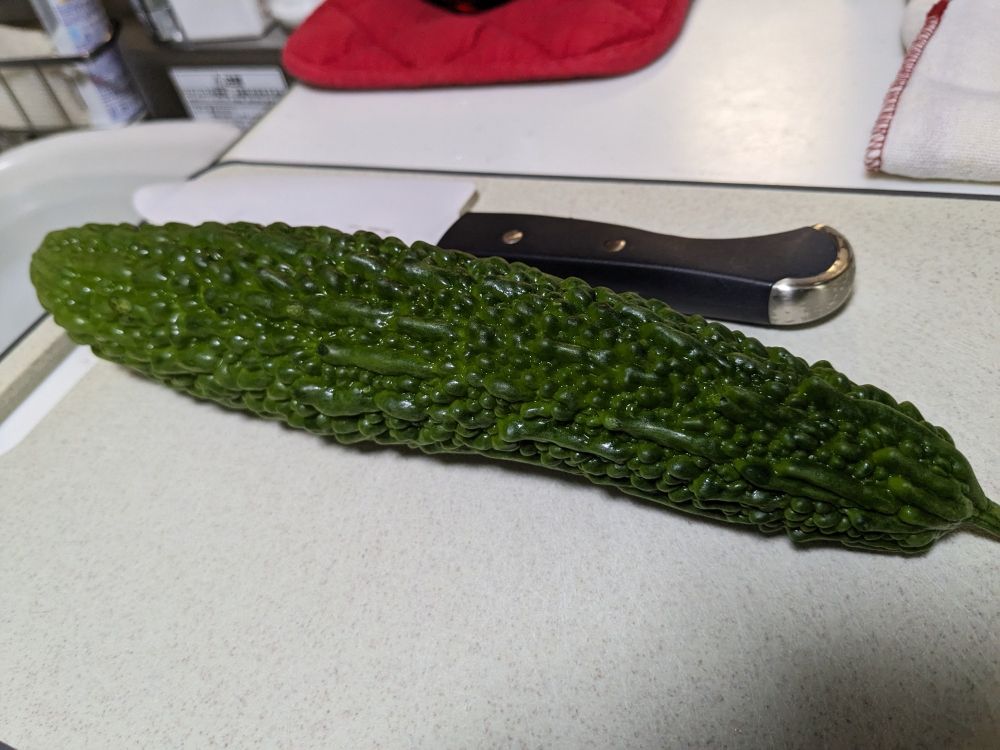 ごーやです