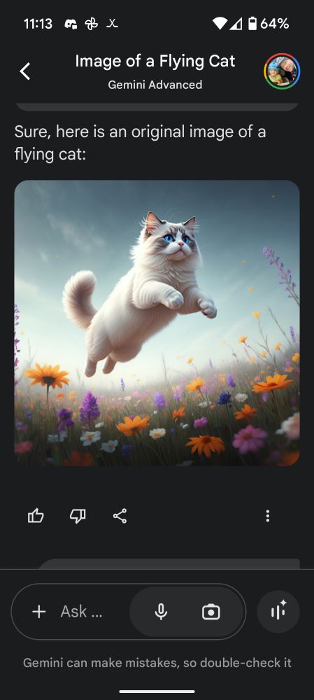 AI generated flying cat from Gemni 