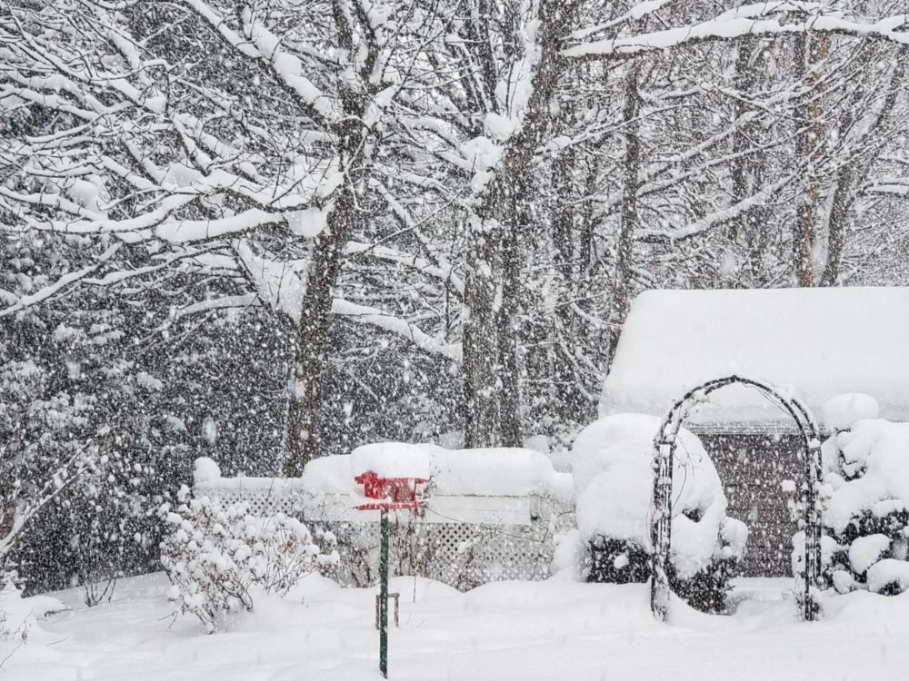 The bottom of a winter garden, with an arbour and red-painted bird feeder, during a blizzard, covered in snow. 