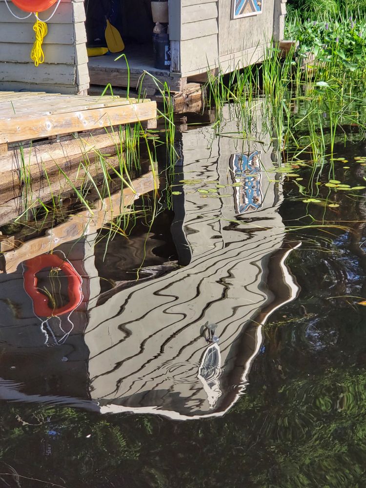 Reflections of my friends boathouse last summer. Reeds, still water, orange life ring, edge of dock. Nice memories. 