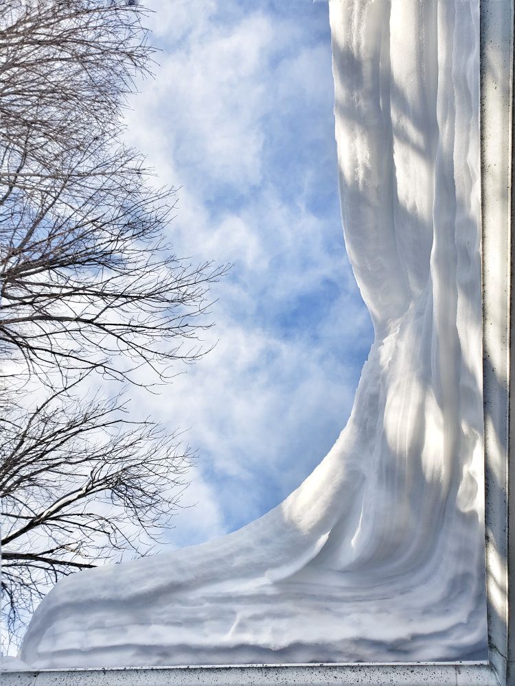 Standing looking straight up under the L-shaped eaves of my house, checking how much snow is piled up on the roof, I noticed that it's actually drifted so high it's overhanging the front walkway. Blue sky and the crown of the maple tree for context. The snow was three feet deep up there, more on the north side. 