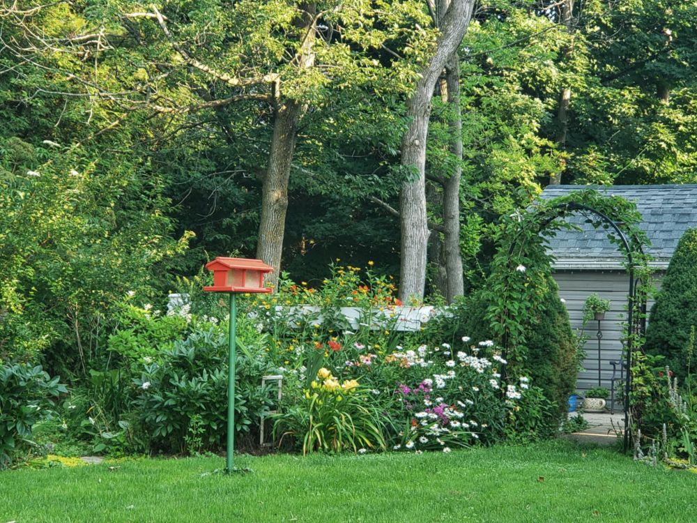 The bottom of a summer garden, with a vined arbour and red-painted bird feeder. 