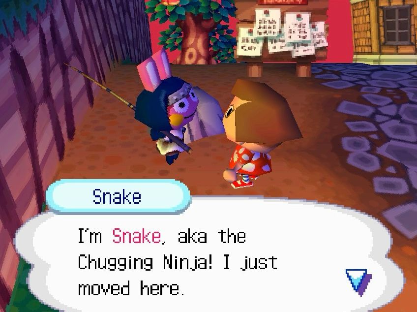 Screenshot of player meeting Snake in Animal Crossing Wild World