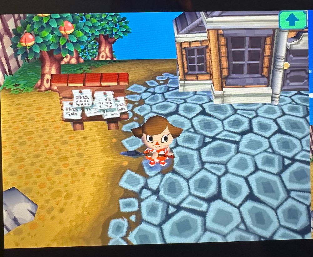 Screenshot from Animal Crossing Wild World