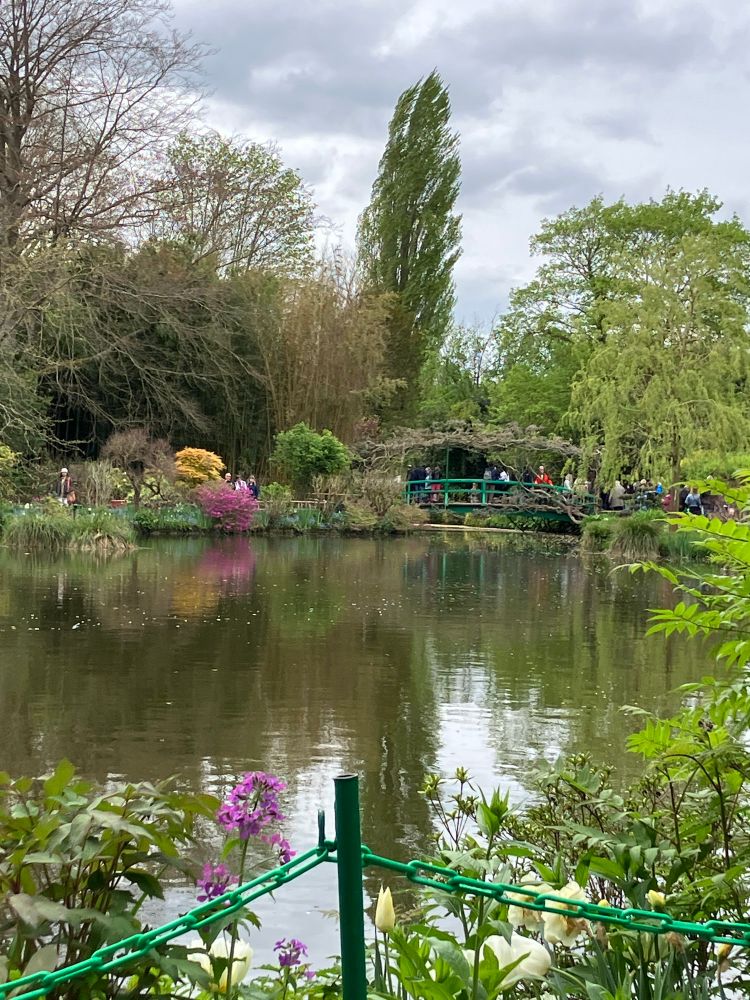 The famous water lily pond