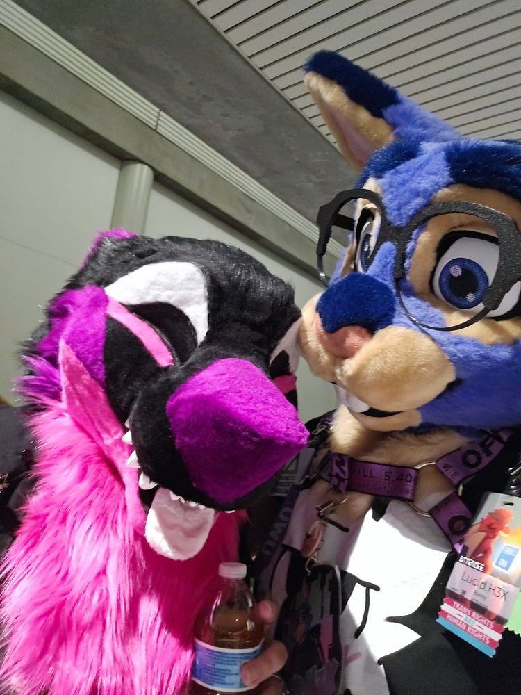 furry trash