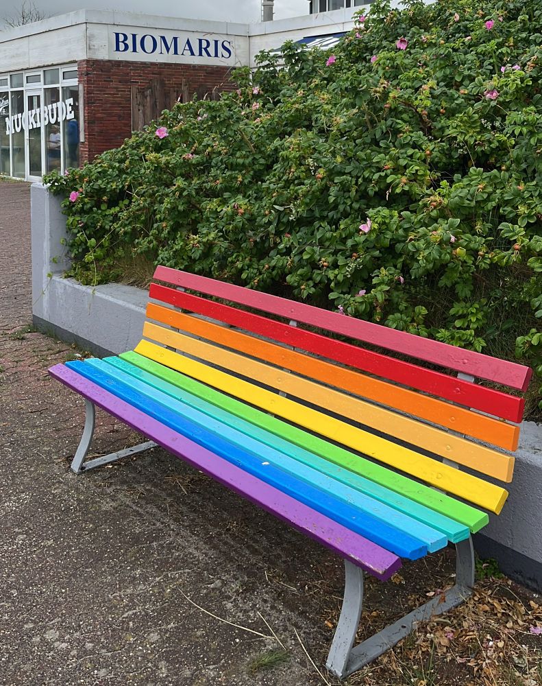 Öffentliche Sitzbank, deren Holzbalken in Regenjigenfarben angestrichen sind, vor einer Hecke aus Hundsrosen. Im Hintergrund ein Gebäudeteil mit „Biomaris“-Schriftzug.