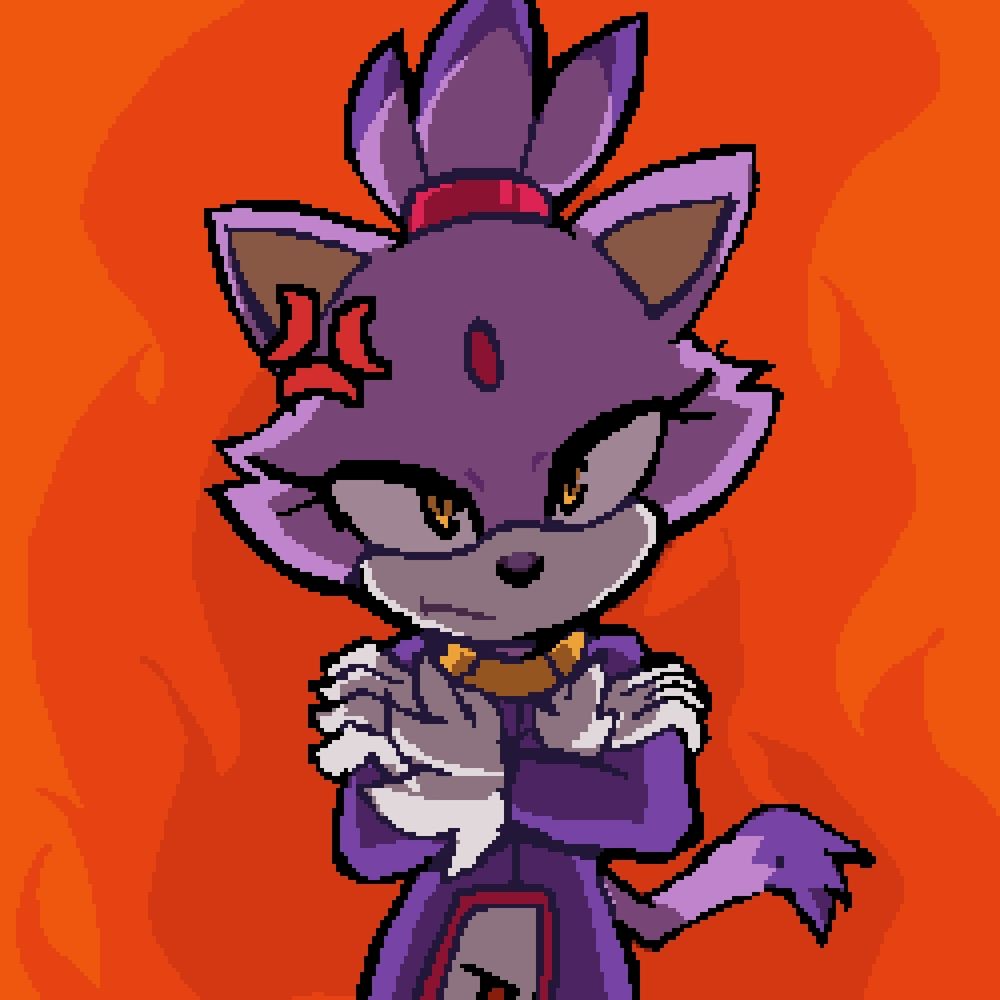Blaze the Cat!