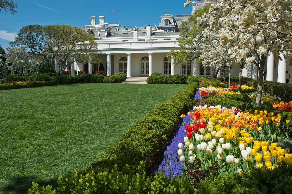 White House Rose Garden before the Trump travesty, replete with flowers and GRASS