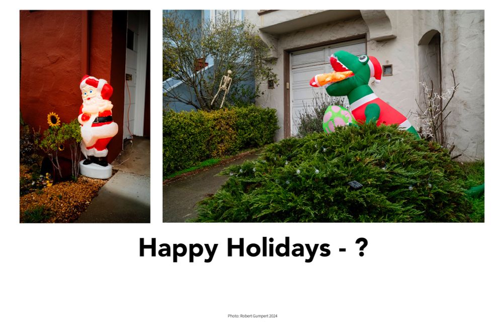 Photos from the Outer Sunset, San Francisco, California.  Photos: Robert Gumpert 22 December 2024