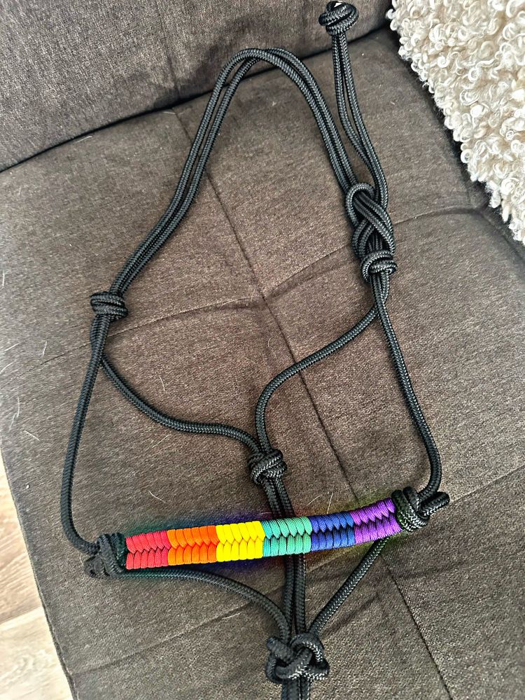 The halter laying on a dark grey couch. 