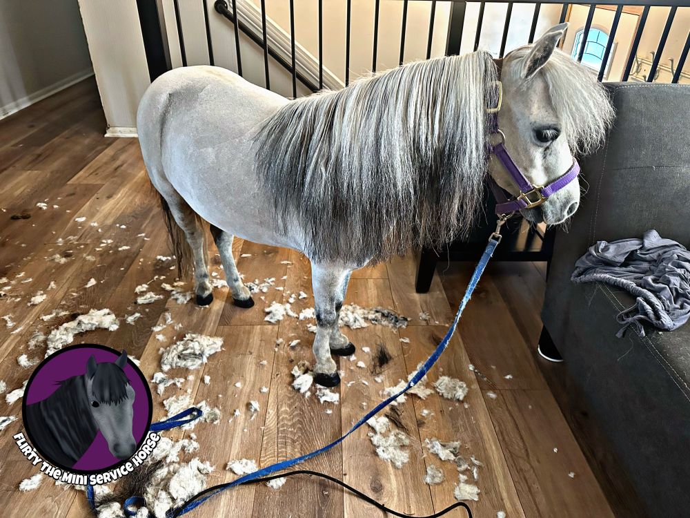 The same horse, facing right. This side shows off her mane, which is long and luxurious. 