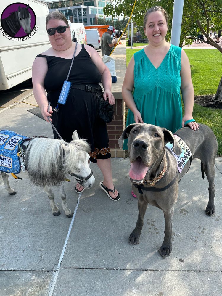 Abrea and Elizabeth stand side by side by side, their service animals in front of them. Abrea is on the left wearing a black sundress and sunglasses. Her hair is pulled back. Elizabeth, on the right, is wearing a teal sundress and also has her hair pulled back. 

Flirty, a grey mini horse standing in front of Abrea, wears a black halter and grey leash, black harness with rainbow trim, and a Starry Night themed vest. Damaya, a blue Great Dane, is on the right and wears a rainbow vest. Her mouth is open in a happy expression expression and she towers over Flirty.
