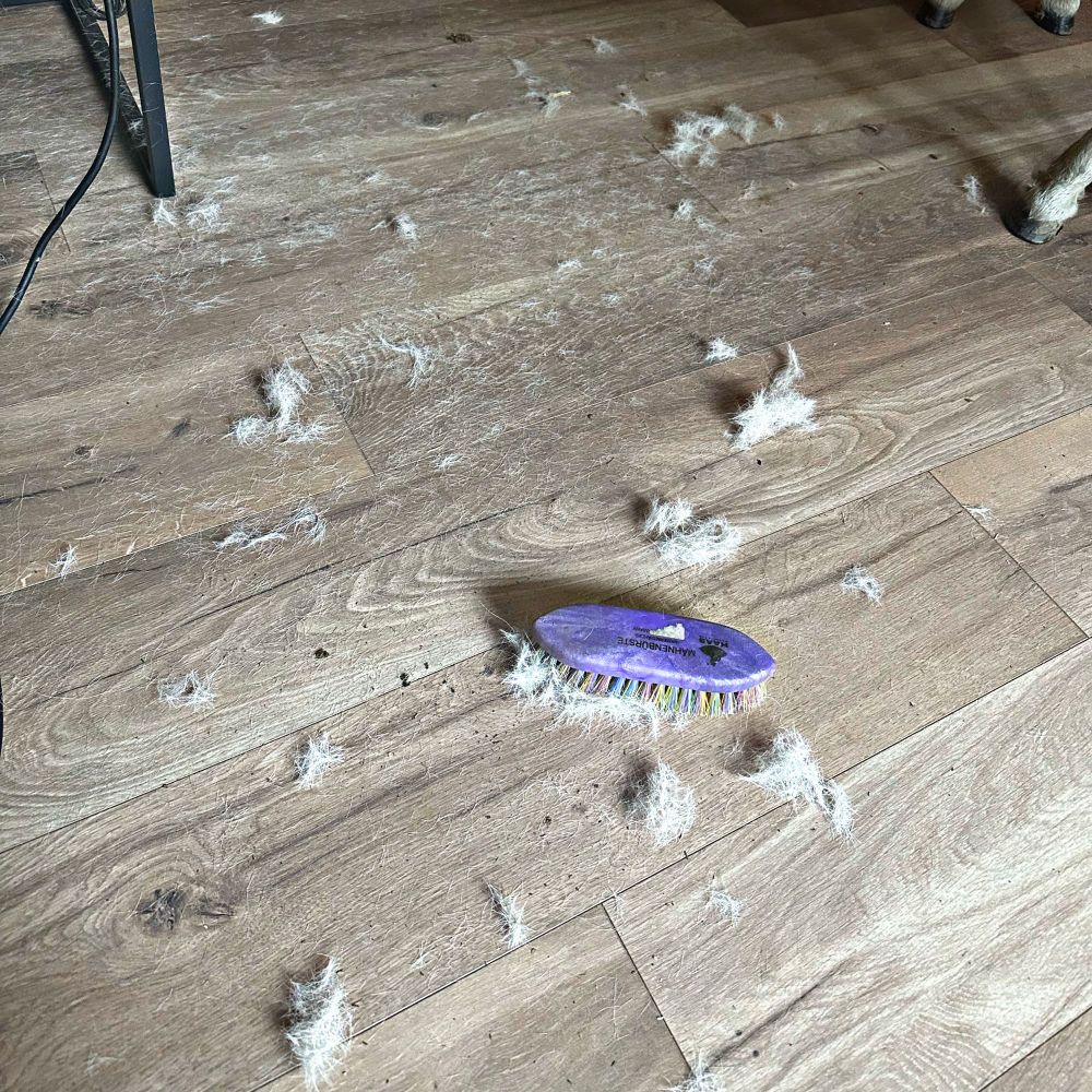 The carnage on the floor. There is a generous sprinkling of hair, with numerous clumps added in. A purple stiff brush sits near the middle, giving a sense of scale.