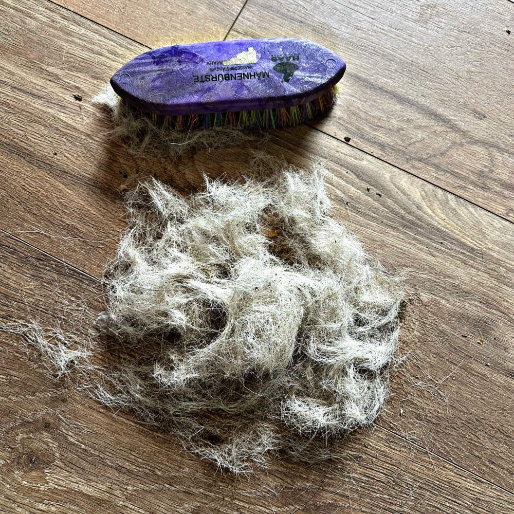 The hair, swept up into a pile. The purple stiff brush sits next to it for scale. The pile is probably the size of 3-4 brushes. 