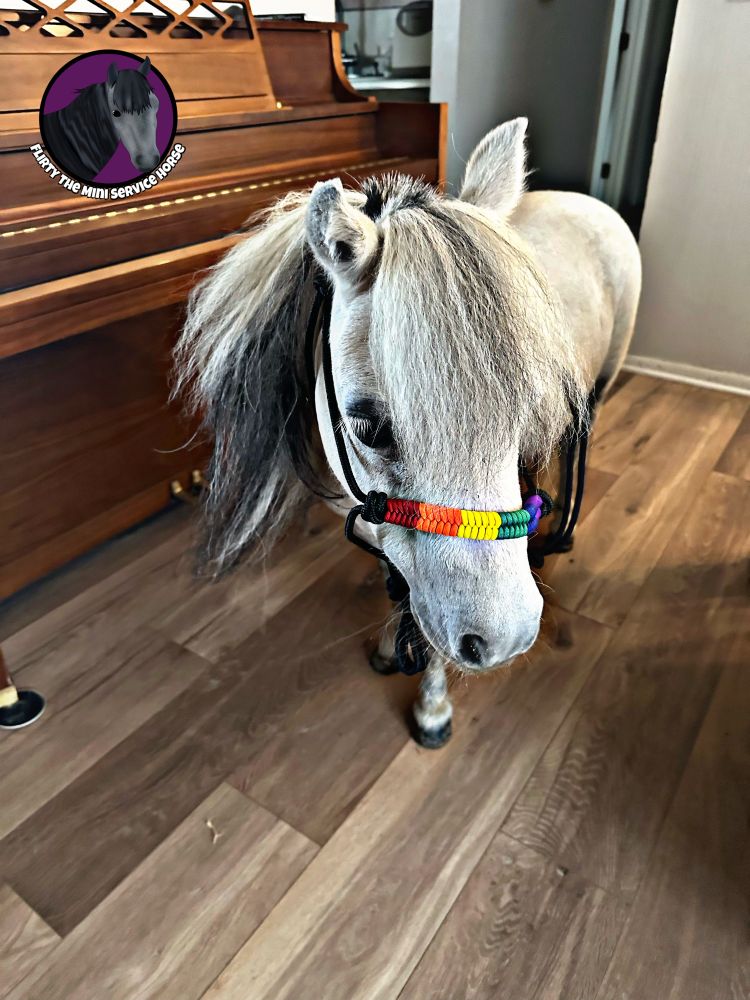 The same horse in the same spot, just with her head turned so you can see the other side of the halter.