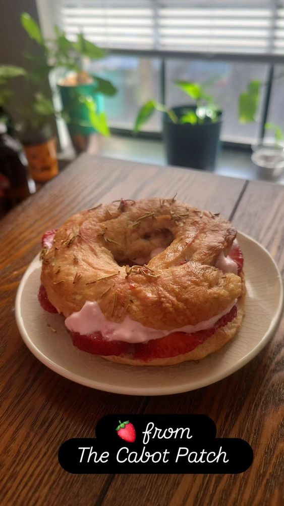 A strawberry rosemary bagel I made this morning, made from strawberries from a local farm in Arkansas. Also made strawberry cream cheese from those strawberries. Background features some plants and a sunny morning window. Foreground text reads: "🍓 from The Cabot Patch."