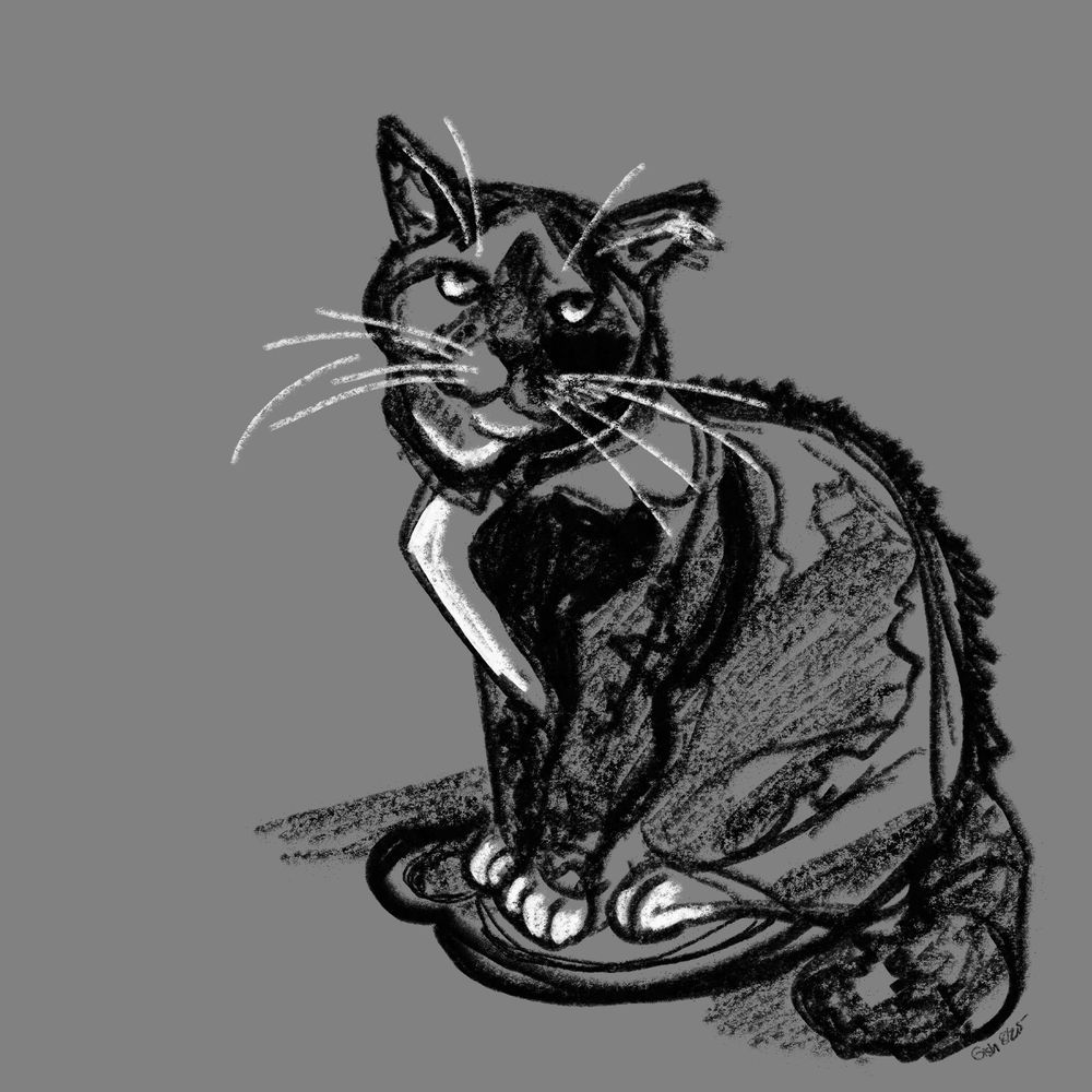 A digital charcoal sketch of a cat sitting on a plate.