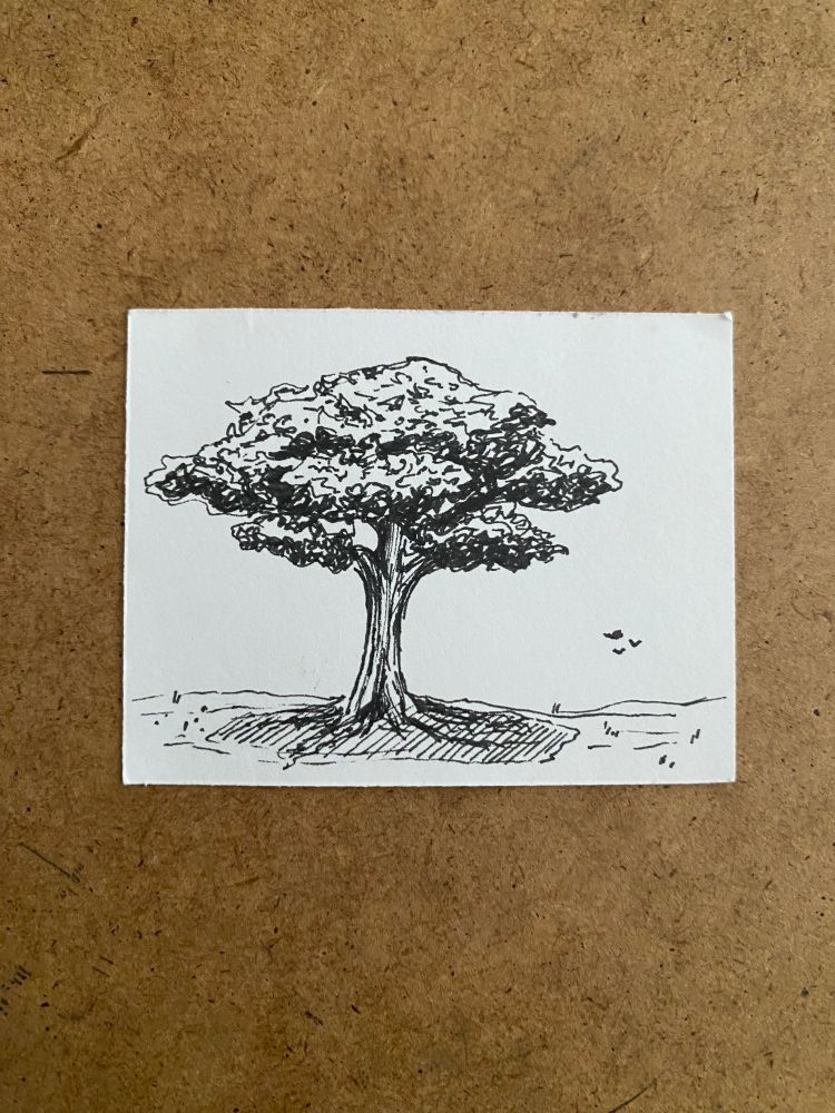 A pen drawing of a tree with three birds in the distance. 