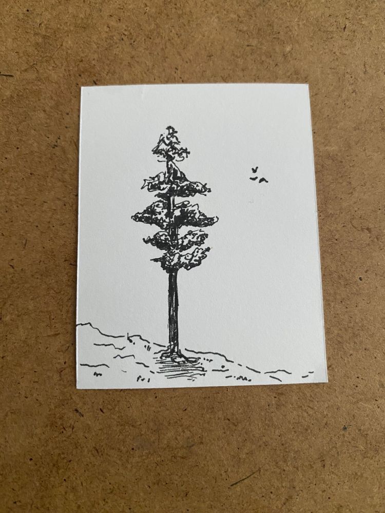 A pen drawing of a tree with three birds flying in the distance. 