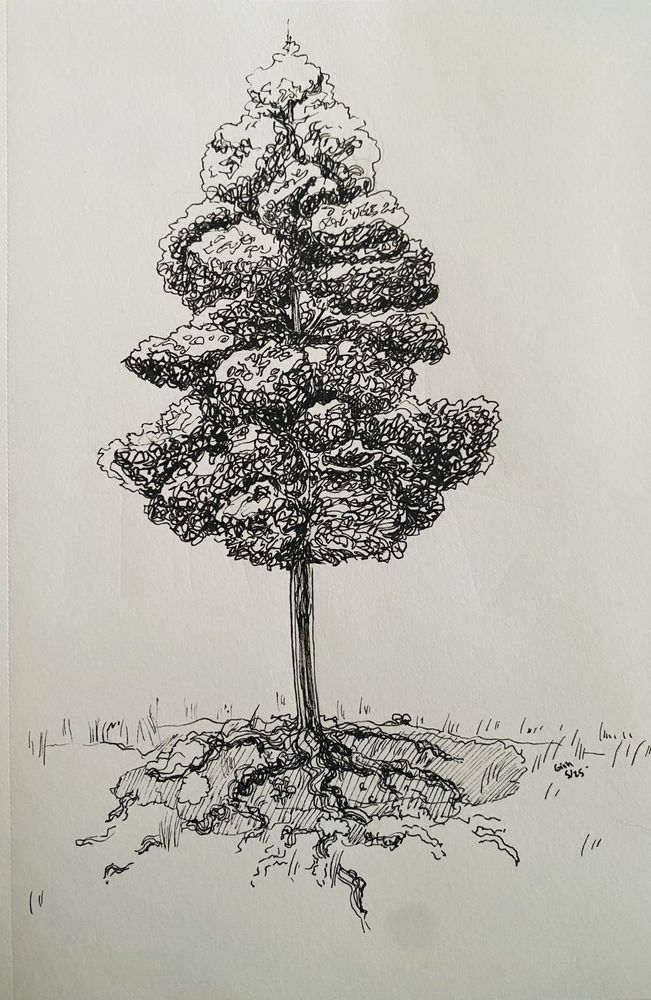 A sketch of a tree done in pen.