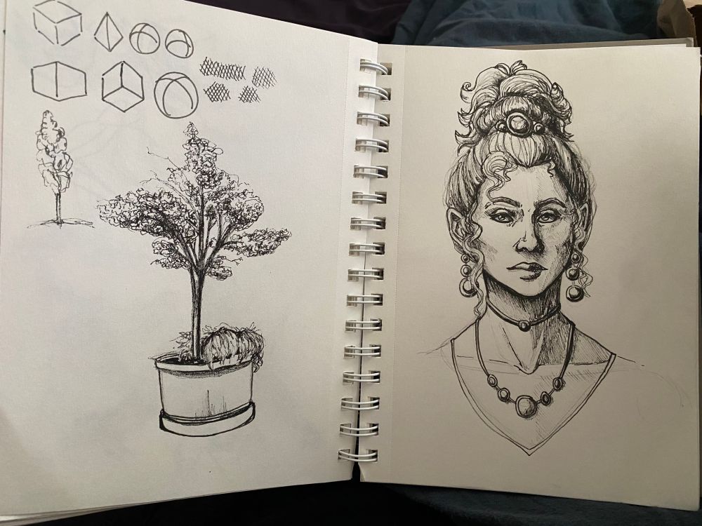 An open sketchbook with pen drawings inside, on the left side there is a tree in a pot and on the right there is a portrait of a woman with jewelry. 