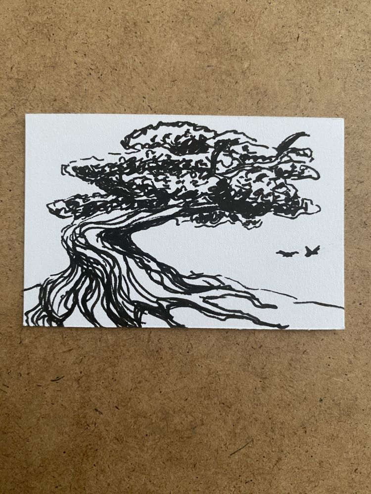 A pen drawing of a bent tree, with two birds flying away in the background.