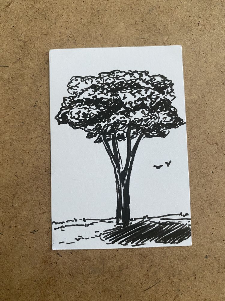 A pen drawing of a tree, with two birds in the background.