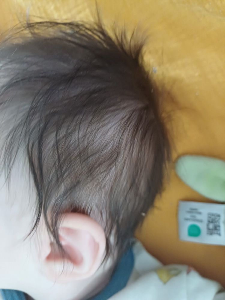 Gros plan sur le crâne chevelu de la descendante. Elle a plein de cheveux 