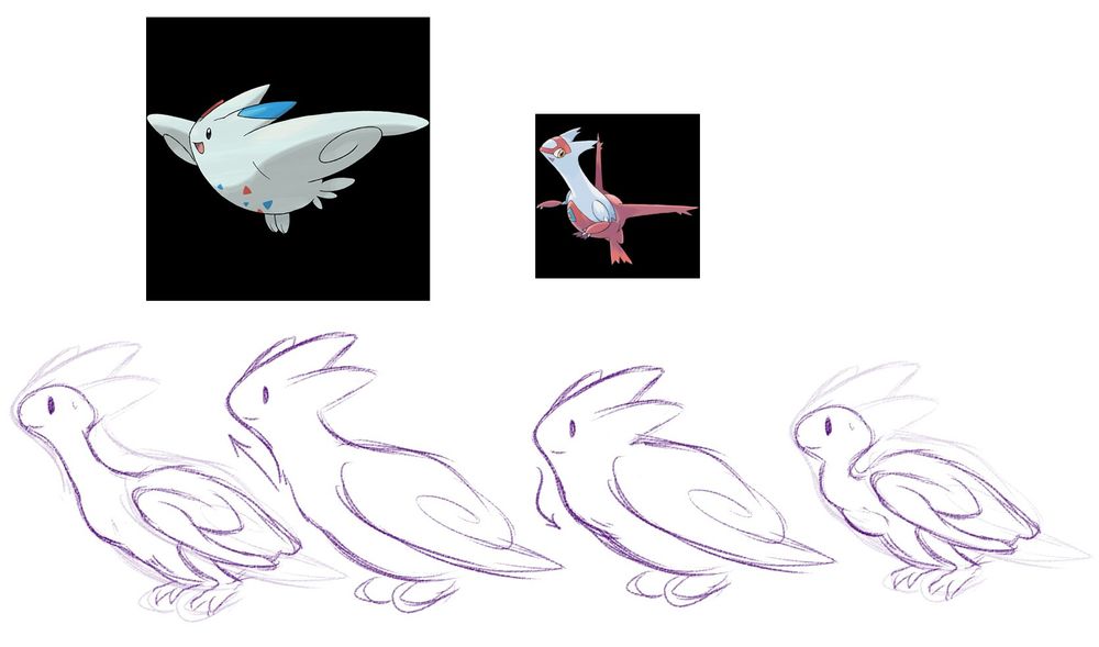 digital art sketches featuring Togekiss, showing how its body might look like under its feathers (referenced from real cockatiels). It also shows how its neck might usually be held at a curved angle (like many birds) and how it would be capable of extending/straightening it. Above the sketches are official artworks of Togekiss and Latias, implying how there could be a connection between the two due to visual similarities (if the neck on Togekiss were capable of extending) 