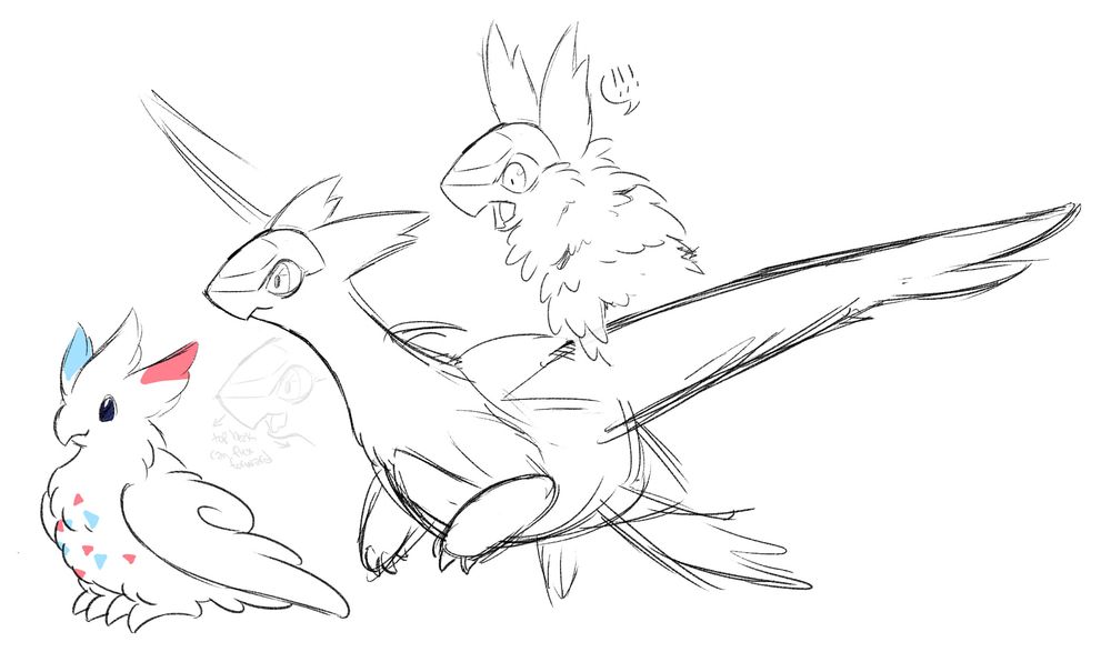 digital art sketches featuring Togekiss and Latias, both drawn here with beak-like mouths. The Latias has additional sketches showing how its beak flexes forward when opened, and one where it has an alarmed expression and is fluffing up its neck feathers (which usually aren't easily visible since they lay flat/smooth)